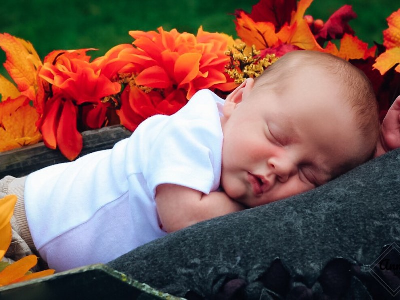 Max’s One Month&nbsp;Session